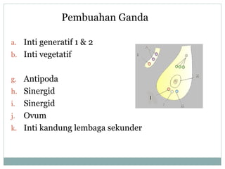 Pembuahan Ganda
a. Inti generatif 1 & 2
b. Inti vegetatif
g. Antipoda
h. Sinergid

Sinergid
j. Ovum
k. Inti kandung lembaga sekunder
i.

 