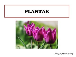 PLANTAE

dPrayuni/Materi-Biologi

 