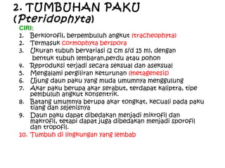 2. TUMBUHAN PAKU
( Pteridophyta )

CIRI:
1. Berklorofil, berpembuluh angkut (tracheophyta)
2. Termasuk cormophyta berspora
3. Ukuran tubuh bervariasi (2 cm s/d 15 m), dengan
bentuk tubuh lembaran,perdu atau pohon
4. Reproduksi terjadi secara seksual dan aseksual
5. Mengalami pergiliran keturunan (metagenesis)
6. Ujung daun paku yang muda umumnya menggulung
7. Akar paku berupa akar serabut, terdapat kaliptra, tipe
pembuluh angkut konsentrik.
8. Batang umumnya berupa akar tongkat, kecuali pada paku
tiang dan sejenisnya
9. Daun paku dapat dibedakan menjadi mikrofil dan
makrofil, tetapi dapat juga dibedakan menjadi sporofil
dan tropofil.
10. Tumbuh di lingkungan yang lembab

 