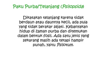 Paku Purba/Telanjang (Psilopsida)
Dikatakan telanjang karena tidak
berdaun atau daunnya kecil, ada pula
yang tidak berakar sejati. Kebanyakan
hidup di zaman purba dan ditemukan
dalam bentuk fosil. Ada satu jenis yang
sekarang masih ada tetapi hampir
punah, yaitu Psilotum.

 