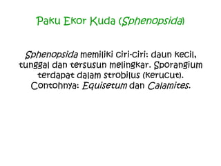 Paku Ekor Kuda (Sphenopsida)
Sphenopsida memiliki ciri-ciri: daun kecil,
tunggal dan tersusun melingkar. Sporangium
terdapat dalam strobilus (kerucut).
Contohnya: Equisetum dan Calamites.

 