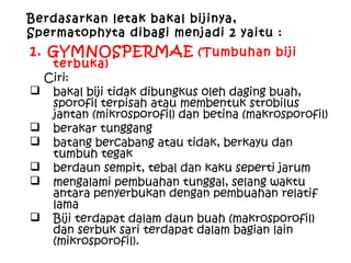 Berdasarkan letak bakal bijinya,
Spermatophyta dibagi menjadi 2 yaitu :

1. GYMNOSPERMAE (Tumbuhan biji

terbuka)
Ciri:
 bakal biji tidak dibungkus oleh daging buah,
sporofil terpisah atau membentuk strobilus
jantan (mikrosporofil) dan betina (makrosporofil)
 berakar tunggang
 batang bercabang atau tidak, berkayu dan
tumbuh tegak
 berdaun sempit, tebal dan kaku seperti jarum
 mengalami pembuahan tunggal, selang waktu
antara penyerbukan dengan pembuahan relatif
lama
 Biji terdapat dalam daun buah (makrosporofil)
dan serbuk sari terdapat dalam bagian lain
(mikrosporofil).

 
