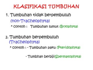 KLASIFIKASI TUMBUHAN
1. Tumbuhan tidak berpembuluh
(non-Tracheophyta)
* contoh : Tumbuhan lumut (Bryophyta)

2. Tumbuhan berpembuluh

(Tracheophyta)

* contoh : - Tumbuhan paku (Pteridophyta)
- Tumbhan berbiji(Spermatophyta)

 