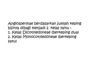 Angiospermae berdasarkan jumlah keping
bijinya dibagi menjadi 2 kelas yaitu :
1. Kelas Dicotyledoneae (berkeping dua)
2. Kelas Monocotyledoneae (berkeping
satu)

 