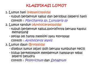 KLASIFIKASI LUMUT
1. Lumut hati (Hepaticopsida)
- tubuh berbentuk tallus dan berlobus (seperti hati)
contoh : Marchantia sp, Lunularia sp
2. Lumut tanduk (Anthoceratopsida)
- tubuh berbentuk tallus,sporofitnya berupa kapsul
memanjang
- setiap sel hanya memiliki satu kloroplas
contoh : Anthoceros leavis
3. Lumut daun (Bryopsida)
- disebut lumut sejati (sdh berupa tumbuhan kecil)
- hidup berkelompok membentuk hamparan tebal
seperti beludru
contoh : Polytrichum dan Sphagnum

 