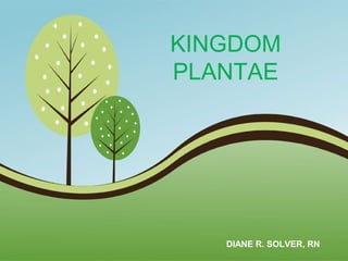 KINGDOM
PLANTAE

DIANE R. SOLVER, RN
Page 1

 