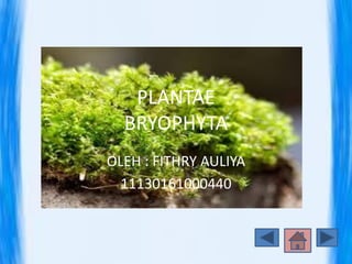 PLANTAE
BRYOPHYTA
OLEH : FITHRY AULIYA
11130161000440
 