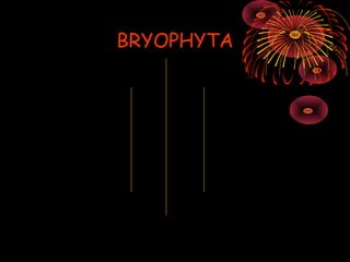 BRYOPHYTA
 