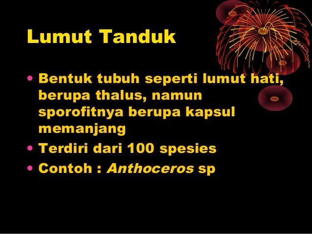 Plantae lumut  dan paku