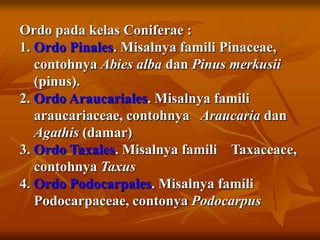 Ordo pada kelas Coniferae :
1. Ordo Pinales. Misalnya famili Pinaceae,
contohnya Abies alba dan Pinus merkusii
(pinus).
2. Ordo Araucariales. Misalnya famili
araucariaceae, contohnya Araucaria dan
Agathis (damar)
3. Ordo Taxales. Misalnya famili Taxaceace,
contohnya Taxus
4. Ordo Podocarpales. Misalnya famili
Podocarpaceae, contonya Podocarpus
 