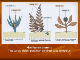 Gambaran umum :
Tiga variasi dalam pergiliran generasi pada tumbuhan
 