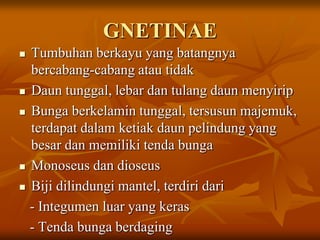 GNETINAE
 Tumbuhan berkayu yang batangnya
bercabang-cabang atau tidak
 Daun tunggal, lebar dan tulang daun menyirip
 Bunga berkelamin tunggal, tersusun majemuk,
terdapat dalam ketiak daun pelindung yang
besar dan memiliki tenda bunga
 Monoseus dan dioseus
 Biji dilindungi mantel, terdiri dari
- Integumen luar yang keras
- Tenda bunga berdaging
 