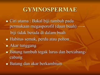 GYMNOSPERMAE
 Ciri utama : Bakal biji tumbuh pada
permukaan megasporofil (daun buah)
biji tidak berada di dalam buah
 Habitus semak, perdu atau pohon
 Akar tunggang
 Batang tumbuh tegak lurus dan bercabang-
cabang
 Batang dan akar berkambium
 