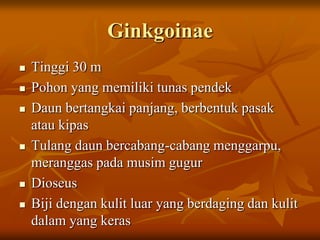 Ginkgoinae
 Tinggi 30 m
 Pohon yang memiliki tunas pendek
 Daun bertangkai panjang, berbentuk pasak
atau kipas
 Tulang daun bercabang-cabang menggarpu,
meranggas pada musim gugur
 Dioseus
 Biji dengan kulit luar yang berdaging dan kulit
dalam yang keras
 