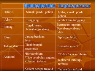 Semak, perdu, pohon herba, semak, perdu,
pohon
TunggangAkar Serabut dan tunggang
Batang Tegak lurus,
bercabang-cabang
Bermacam-macam
Bercabang-cabang /
tidak
Habitus
Daun Jarang berdaun
lebar
Pipih dan lebar
Tulang daun Tidak banyak
ragamnya
Beraneka ragam
Anatomi
*Berkambium
*Tipe pembuluh angkut
Kolateral terbuka
*Xilem berupa trakeid
*Tidak / ada kambium
Kolateral tertutup /
terbuka
Trakea dan trakeid
 