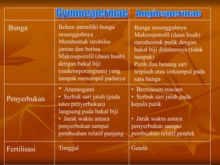 Belum memiliki bunga
sesungguhnya
Membentuk strobilus
jantan dan betina
Makrosporofil (daun buah)
dengan bakal biji
(makrosporangium) yang
tampak menempel padanya
Bunga sesungguhnya
Makrosporofil (daun buah)
membentuk putik dengan
bakal biji didalamnya (tidak
tampak)
Putik dan benang sari
terpisah atau terkumpul pada
satu bunga
Bunga
Penyerbukan
* Anemogami
• Serbuk sari jatuh (pada
tetes penyerbukan)
langsung pada bakal biji
• Jarak waktu antara
penyerbukan sampai
pembuahan relatif panjang
Tunggal
• Bermacam-macam
• Serbuk sari jatuh pada
kepala putik
• Jarak waktu antara
penyerbukan sampai
pembuahan relatif pendek
GandaFertilisasi
 