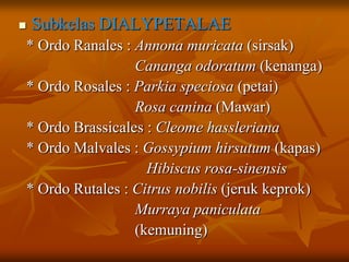  Subkelas DIALYPETALAE
* Ordo Ranales : Annona muricata (sirsak)
Cananga odoratum (kenanga)
* Ordo Rosales : Parkia speciosa (petai)
Rosa canina (Mawar)
* Ordo Brassicales : Cleome hassleriana
* Ordo Malvales : Gossypium hirsutum (kapas)
Hibiscus rosa-sinensis
* Ordo Rutales : Citrus nobilis (jeruk keprok)
Murraya paniculata
(kemuning)
 