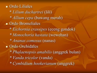  Ordo Liliales
* Lilium duchartrei (lili)
* Allium cepa (bawang merah)
 Ordo Bromeliales
* Eichornia crassipes (eceng gondok)
* Monochoria hastata (wewehan)
* Ananas comosus (nanas)
 Ordo Orchidales
* Phalaenopsis amabilis (anggrek bulan)
* Vanda tricolor (vanda)
* Cymbidium hookerianum (anggrek)
 
