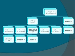 Gerencia de
comercialización (2)
Jefe de
ventas(1)
Jefe de sucursal
en Rosario (1)
Jefe de sucursal
en Córdoba (1)
Administrador
(2)
Vendedores (10) Limpieza (5)
Jefe de sucursal
en Buenos Aires
(1)
Jefe de sucursal
en San Luis (1)
Jefe de sucursal
en Río Negro (1)
Marketing (1)
Personal (10)
 