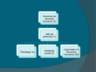 Gerencia de
recursos
humanos (2)
Jefe de
personal (1)
Psicólogo (4)
Asistente
social (2)
Licenciado en
Recursos
Humanos (20)
 
