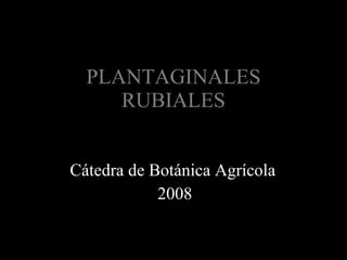 PLANTAGINALES RUBIALES Cátedra de Botánica Agrícola  2008 