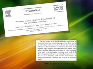 DPPH: 2,2-diphenyl-1-picrylhydrazyl.
 
