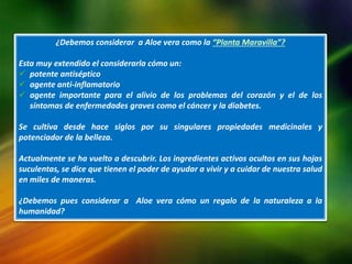¿Debemos considerar a Aloe vera como la “Planta Maravilla”?
Esta muy extendido el considerarla cómo un:
 potente antiséptico
 agente anti-inflamatorio
 agente importante para el alivio de los problemas del corazón y el de los
síntomas de enfermedades graves como el cáncer y la diabetes.
Se cultiva desde hace siglos por su singulares propiedades medicinales y
potenciador de la belleza.
Actualmente se ha vuelto a descubrir. Los ingredientes activos ocultos en sus hojas
suculentas, se dice que tienen el poder de ayudar a vivir y a cuidar de nuestra salud
en miles de maneras.
¿Debemos pues considerar a Aloe vera cómo un regalo de la naturaleza a la
humanidad?
 