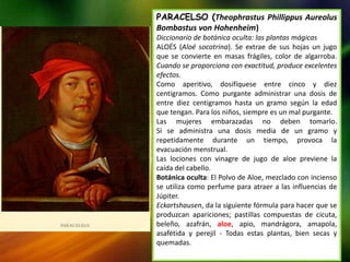 PARACELSO (Theophrastus Phillippus Aureolus
Bombastus von Hohenheim)
Diccionario de botánica oculta: las plantas mágicas
ALOÉS (Aloé socotrina). Se extrae de sus hojas un jugo
que se convierte en masas frágiles, color de algarroba.
Cuando se proporciona con exactitud, produce excelentes
efectos.
Como aperitivo, dosifíquese entre cinco y diez
centigramos. Como purgante administrar una dosis de
entre diez centigramos hasta un gramo según la edad
que tengan. Para los niños, siempre es un mal purgante.
Las mujeres embarazadas no deben tomarlo.
Si se administra una dosis media de un gramo y
repetidamente durante un tiempo, provoca la
evacuación menstrual.
Las lociones con vinagre de jugo de aloe previene la
caída del cabello.
Botánica oculta: El Polvo de Aloe, mezclado con incienso
se utiliza como perfume para atraer a las influencias de
Júpiter.
Eckartshausen, da la siguiente fórmula para hacer que se
produzcan apariciones; pastillas compuestas de cicuta,
beleño, azafrán, aloe, apio, mandrágora, amapola,
asafétida y perejil - Todas estas plantas, bien secas y
quemadas.
 