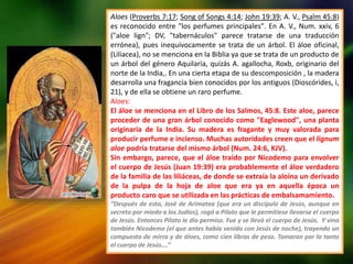 Aloes (Proverbs 7:17; Song of Songs 4:14; John 19:39; A. V., Psalm 45:8)
es reconocido entre "los perfumes principales". En A. V., Num. xxiv, 6
("aloe lign"; DV, "tabernáculos" parece tratarse de una traducción
errónea), pues inequívocamente se trata de un árbol. El áloe oficinal,
(Liliacea), no se menciona en la Biblia ya que se trata de un producto de
un árbol del género Aquilaria, quizás A. agallocha, Roxb, originario del
norte de la India,. En una cierta etapa de su descomposición , la madera
desarrolla una fragancia bien conocidos por los antiguos (Dioscórides, i,
21), y de ella se obtiene un raro perfume.
Aloes:
El áloe se menciona en el Libro de los Salmos, 45:8. Este aloe, parece
proceder de una gran árbol conocido como "Eaglewood", una planta
originaria de la India. Su madera es fragante y muy valorada para
producir perfume e incienso. Muchas autoridades creen que el lignum
aloe podría tratarse del mismo árbol (Num. 24:6, KJV).
Sin embargo, parece, que el áloe traído por Nicodemo para envolver
el cuerpo de Jesús (Juan 19:39) era probablemente el áloe verdadero
de la familia de las liliáceas, de donde se extraía la aloína un derivado
de la pulpa de la hoja de aloe que era ya en aquella época un
producto caro que se utilizada en las prácticas de embalsamamiento.
“Después de esto, José de Arimatea (que era un discípulo de Jesús, aunque en
secreto por miedo a los Judios), rogó a Pilato que le permitiese llevarse el cuerpo
de Jesús. Entonces Pilato le dio permiso. Fue y se llevó el cuerpo de Jesús. Y vino
también Nicodemo (el que antes había venido con Jesús de noche), trayendo un
compuesto de mirra y de áloes, como cien libras de peso. Tomaron por lo tanto
el cuerpo de Jesús….”
 