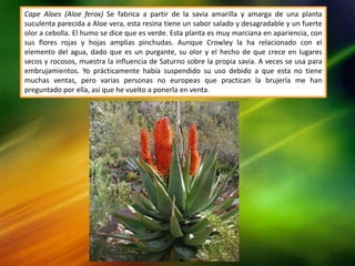 Cape Aloes (Aloe ferox) Se fabrica a partir de la savia amarilla y amarga de una planta
suculenta parecida a Aloe vera, esta resina tiene un sabor salado y desagradable y un fuerte
olor a cebolla. El humo se dice que es verde. Esta planta es muy marciana en apariencia, con
sus flores rojas y hojas amplias pinchudas. Aunque Crowley la ha relacionado con el
elemento del agua, dado que es un purgante, su olor y el hecho de que crece en lugares
secos y rocosos, muestra la influencia de Saturno sobre la propia savia. A veces se usa para
embrujamientos. Yo prácticamente había suspendido su uso debido a que esta no tiene
muchas ventas, pero varias personas no europeas que practican la brujería me han
preguntado por ella, así que he vuelto a ponerla en venta.
 