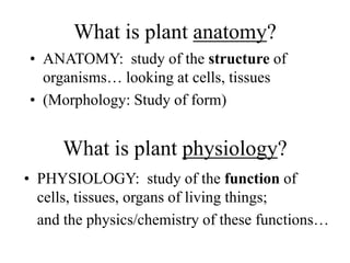 What is plant anatomy?
• ANATOMY: study of the structure of
organisms… looking at cells, tissues
• (Morphology: Study of form)
What is plant physiology?
• PHYSIOLOGY: study of the function of
cells, tissues, organs of living things;
and the physics/chemistry of these functions…
 