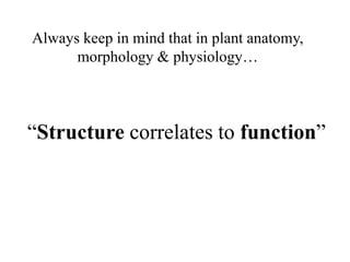 “Structure correlates to function”
Always keep in mind that in plant anatomy,
morphology & physiology…
 