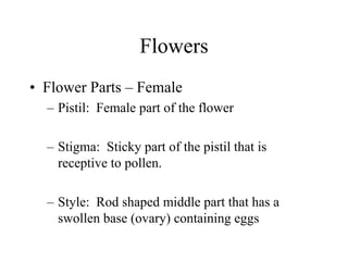 Flowers
• Flower Parts – Female
– Pistil: Female part of the flower
– Stigma: Sticky part of the pistil that is
receptive to pollen.
– Style: Rod shaped middle part that has a
swollen base (ovary) containing eggs
 