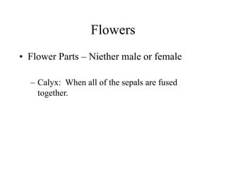 Flowers
• Flower Parts – Niether male or female
– Calyx: When all of the sepals are fused
together.
 
