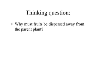 Thinking question:
• Why must fruits be dispersed away from
the parent plant?
 