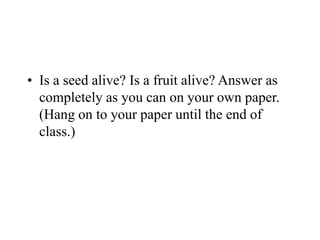 • Is a seed alive? Is a fruit alive? Answer as
completely as you can on your own paper.
(Hang on to your paper until the end of
class.)
W
O
R
K
T
O
G
E
T
H
E
R
 