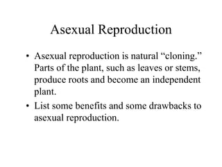 Asexual Reproduction
• Asexual reproduction is natural “cloning.”
Parts of the plant, such as leaves or stems,
produce roots and become an independent
plant.
• List some benefits and some drawbacks to
asexual reproduction.
 