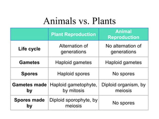 Animals vs. Plants
Plant Reproduction
Animal
Reproduction
Life cycle
Alternation of
generations
No alternation of
generations
Gametes Haploid gametes Haploid gametes
Spores Haploid spores No spores
Gametes made
by
Haploid gametophyte,
by mitosis
Diploid organism, by
meiosis
Spores made
by
Diploid sporophyte, by
meiosis
No spores
 