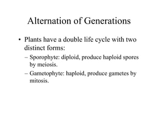 Alternation of Generations
• Plants have a double life cycle with two
distinct forms:
– Sporophyte: diploid, produce haploid spores
by meiosis.
– Gametophyte: haploid, produce gametes by
mitosis.
 