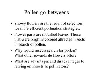 Pollen go-betweens
• Showy flowers are the result of selection
for more efficient pollination strategies.
• Flower parts are modified leaves. Those
that were brightly colored attracted insects
in search of pollen.
• Why would insects search for pollen?
What other rewards do flowers offer?
• What are advantages and disadvantages to
relying on insects as pollinators?
 