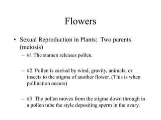 Flowers
• Sexual Reproduction in Plants: Two parents
(meiosis)
– #1 The stamen releases pollen.
– #2 Pollen is carried by wind, gravity, animals, or
insects to the stigma of another flower. (This is when
pollination occurs)
– #3 The pollen moves from the stigma down through in
a pollen tube the style depositing sperm in the ovary.
 