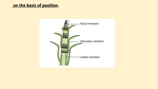 on the basis of position.
 
