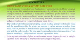WOOD-TYPES
• SPRING/ EARLY WOOD & AUTUMN /LATE WOOD
• In the temperate region, the wide fluctuation of temperature is visible in winter &
spring season.The wood of one season is markedly differ to the other season.In
spring or summer, the cambium is more active and forms a greater number of vessels
with wide cavities as the number of leaves increase.In winter or autumn season,
however, there is less need of vessels for sap transport, the cambium is less active
and gives rise to narrow vessel, trachids and wood fibres.
• The wood developed in summer or spring season is called spring wood or early wood
and the wood formed in the winter or autumn is called autumn wood or later
wood.Howver, the line of demarcation is quite conspicious between late wood of one
year and the early wood of the next year.An annual ring therefore consists of two
parts-an inner layer , early wood and an outer layer or late wood.
• In the age determination of plant, sometimes two annual rings are formed in a single
layer that make difficulty to determine the correct age of the plants.
 