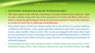 ALBURNUM & DURAMEN
• SAP WOOD/ ALBURNUM & HEART WOOD/DURAMEN
• The outer region of the old trees consisting of recently formed xylem elements , light
in color, contains living cells also in the association of vessels and fibres with reserve
food to extend the physiological functions.It becomes proned to insects like teremites
to invade for food.This is called sap wood/alburnum.
• The central region of old trees formed earlier due to the actvity of vascular cambium
is filled up with tannins, resins, gums and other substances,and make it less prone to
insects, hard, durable, black in color .The vessels are plugged with tylosis.Such type
of more economical value containing wood used as timber.Haematoxylin is obtained
from the heart wood of Haematoxylon campechianum is an important constituents in
industrial purposes.
• The proprtion of sap woods and heart woods variable.Some trees do not have clear
distinction-Poplus, Salix, abies whereas other possess sap wood like Morus, taxus etc.
 