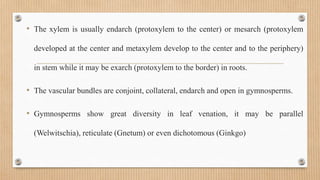 Plant anatomy and physiology.pptx