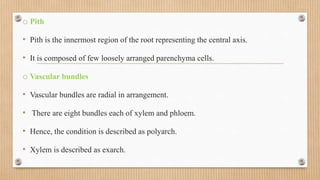 Plant anatomy and physiology.pptx