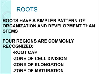 ROOTS
ROOTS HAVE A SIMPLER PATTERN OF
ORGANIZATION AND DEVELOPMENT THAN
STEMS
FOUR REGIONS ARE COMMONLY
RECOGNIZED:
-ROOT CAP
-ZONE OF CELL DIVISION
-ZONE OF ELONGATION
-ZONE OF MATURATION
 