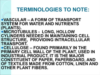 TERMINOLOGIES TO NOTE:
●VASCULAR – A FORM OF TRANSPORT
SYSTEM FOR WATER AND NUTRIENTS
(PLANTS).
●MICROTUBULES - LONG, HOLLOW
CYLINDERS NEEDED IN MAINTAINING CELL
STRUCTURE, PROVIDING INTRACELLULAR
TRANSPORT.
●CELLULOSE – FOUND PRIMARILY IN THE
PRIMARY CELL WALL OF THE PLANT, USED IN
INDUSTRIAL PRODUCT, IT IS THE MAJOR
CONSTITUENT OF PAPER, PAPERBOARD, AND
OF TEXTILES MADE FROM COTTON, LINEN AND
OTHER PLANT FIBERS.
 