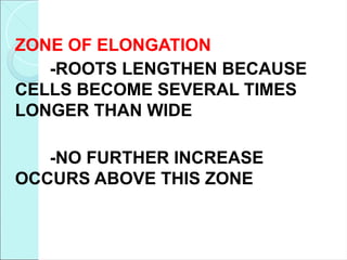 ZONE OF ELONGATION
-ROOTS LENGTHEN BECAUSE
CELLS BECOME SEVERAL TIMES
LONGER THAN WIDE
-NO FURTHER INCREASE
OCCURS ABOVE THIS ZONE
 