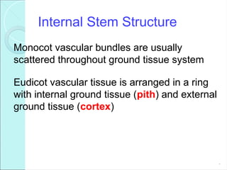 Internal Stem Structure
Monocot vascular bundles are usually
scattered throughout ground tissue system
Eudicot vascular tissue is arranged in a ring
with internal ground tissue (pith) and external
ground tissue (cortex)
*
 